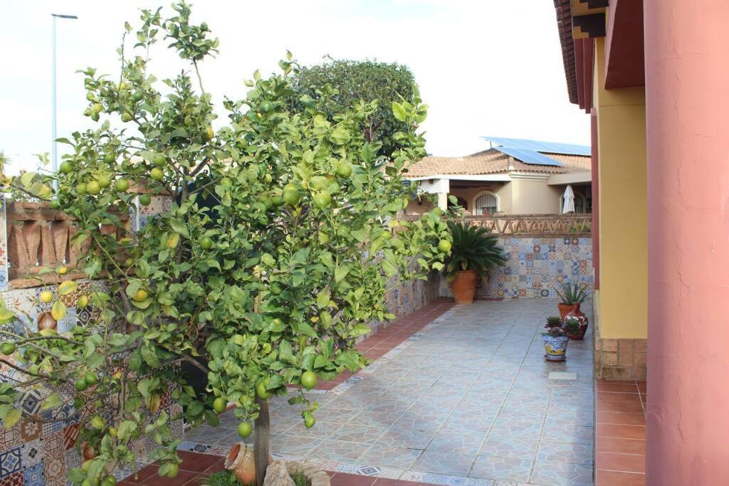 Casa 4 Dormitorios En Aiamonte Exterior foto