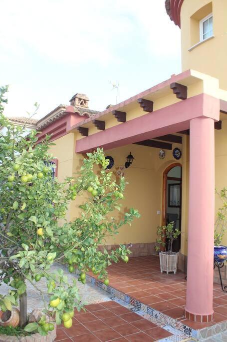 Casa 4 Dormitorios En Aiamonte Exterior foto