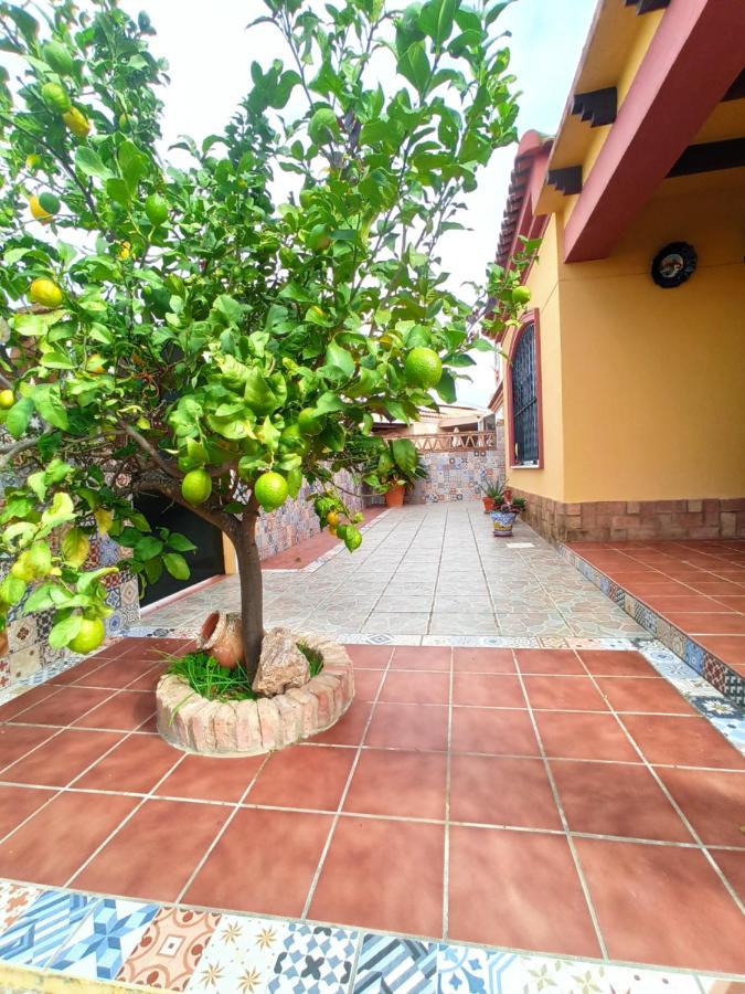 Casa 4 Dormitorios En Aiamonte Exterior foto